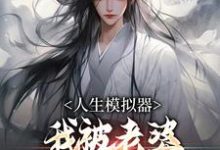 人生模拟器：我被老婆逼成世间极境最新章节阅读人生模拟器：我被老婆逼成世间极境(白棋陈北玄)试读更新章节-小智文学