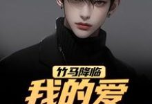(全文)竹马降临，我的爱瞬间扫地(江书正)全本免费在线阅读-小智文学
