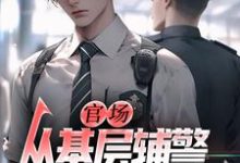 (全文)官场:从基层辅警开始崛起王初一全本免费在线阅读-小智文学