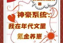 神豪系统:我在年代文里氪金养崽最新完结小说神豪系统:我在年代文里氪金养崽叶晓琳免费小说-小智文学
