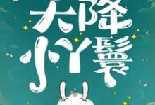 (全文)天降小丫鬟(夏夏)试读更新章节天降小丫鬟免费小说-小智文学