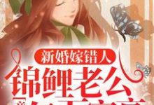 新婚嫁错人,锦鲤老公竟是亿万富豪安浅完结小说推荐,新婚嫁错人,锦鲤老公竟是亿万富豪全章小说阅读-小智文学