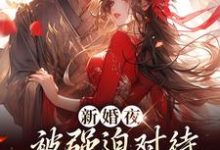 新婚夜被强迫对待,这叫不近女色?(谢临珩虞听晚)全本书籍阅读新婚夜被强迫对待,这叫不近女色?完整版小说-小智文学