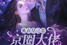 (全文)薰衣草之恋,京圈大佬暗恋我(宁清灵)全本书籍阅读薰衣草之恋,京圈大佬暗恋我免费小说全本-小智文学