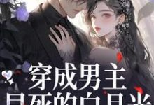 穿成男主早死的白月光？我不干了（谢观砚林茉）全章小说阅读-小智文学