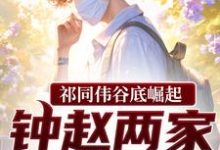 祁同伟谷底崛起,钟赵两家也拦不住完整版小说,祁同伟谷底崛起,钟赵两家也拦不住祁同伟全章小说阅读-小智文学