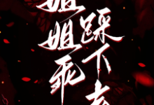 姐姐乖，踩下去（黎昭月）小说推荐姐姐乖，踩下去全章小说阅读-小智文学
