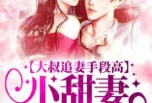 (全文)大叔追妻手段高,小甜妻逃不掉(叶柠谢聿礼)免费小说大叔追妻手段高,小甜妻逃不掉试读更新章节-小智文学
