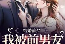 (全文)结婚前夕，我被前男友带走了（薄寒深曲南枝）免费小说结婚前夕，我被前男友带走了试读更新章节-小智文学
