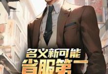 名义新可能：省服第二能否逆转大局最新完结小说名义新可能：省服第二能否逆转大局萧承免费小说-小智文学
