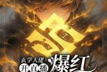玄学大佬开直播，爆红阴阳两界虞初见孟白首试读更新章节玄学大佬开直播，爆红阴阳两界虞初见孟白首免费小说-小智文学