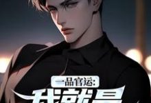 (全文)一品官运：我就是无冕之王(陈飞宇)全本免费在线阅读-小智文学