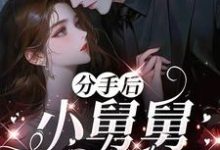 分手后，小舅舅夜夜洗床单沈锦悦免费小说分手后，小舅舅夜夜洗床单推荐完结小说-小智文学