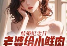 结婚纪念日，老婆给小鲜肉打榜应援完整版小说，结婚纪念日，老婆给小鲜肉打榜应援叶一帆全章小说阅读-小智文学