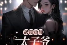 破镜重圆：太子爷他太霸道黎念靳宴深热门小说排行榜破镜重圆：太子爷他太霸道免费小说-小智文学