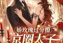 娇玫瑰过分撩,京圈太子底线全抛邓恩雅最新完结小说,娇玫瑰过分撩,京圈太子底线全抛全本免费在线阅读-小智文学
