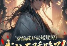 穿综武开局矮矬穷，我让天骄跪了！（武直）全章小说阅读-小智文学