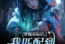 (全文)穿越星际后，我匹配到九个大冤种热门小说排行榜，穿越星际后，我匹配到九个大冤种洛千全章小说阅读-小智文学