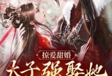 贺玥掠爱甜婚：太子强娶她入东宫全本免费在线阅读-小智文学