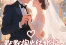 (全文)默默掏出结婚证,我的老公好奶完结小说推荐宋禧全本书籍阅读-小智文学