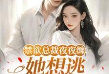 (全文)禁欲总裁夜夜缠，她想逃却逃不掉​​完结小说推荐温澜全本书籍阅读-小智文学
