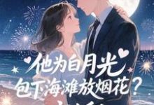 (全文)他为白月光包下海滩放烟花?离婚!霍宴州云初最新完结小说他为白月光包下海滩放烟花?离婚!免费小说全本-小智文学