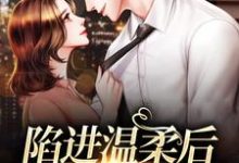 陷进温柔后，他宠上瘾了甘棠许应完结小说推荐陷进温柔后，他宠上瘾了全本书籍阅读-小智文学