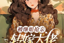 (全文)被继姐抢亲，转嫁大佬生双胎躺赢陈星小说推荐，被继姐抢亲，转嫁大佬生双胎躺赢全章小说阅读-小智文学