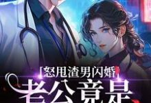 怒甩渣男闪婚，老公竟是千亿太子爷云晚免费小说怒甩渣男闪婚，老公竟是千亿太子爷推荐完结小说-小智文学