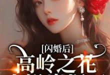 闪婚后,高岭之花人设崩塌了苏酥热门小说排行榜闪婚后,高岭之花人设崩塌了免费小说-小智文学