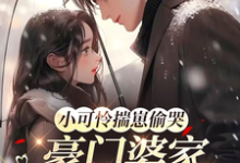 小可怜揣崽偷哭，豪门婆家来团宠（苏念念）小说推荐小可怜揣崽偷哭，豪门婆家来团宠全章小说阅读-小智文学