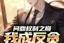方晓倩问鼎权利之巅，我成反贪第一人全本免费在线阅读-小智文学
