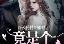 冷漠矜持的霸总，竟是个纯爱战士推荐完结小说冷漠矜持的霸总，竟是个纯爱战士(宋诗予)免费小说全本-小智文学