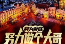 (全文)身为卧底，努力做个大哥不过分吧白舟最新完结小说身为卧底，努力做个大哥不过分吧免费小说全本-小智文学
