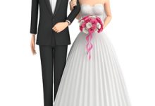 奶爸：人在985，女神求负责小说，奶爸：人在985，女神求负责苏阳宋佳宁-小智文学