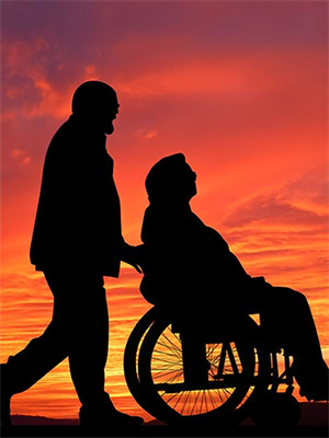 修仙回来后：我靠种灵植发家致富这本小说怎么样？免费在线阅读试试