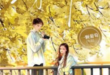 完结版《人间何曾安舒意》章节目录在线阅读-小智文学