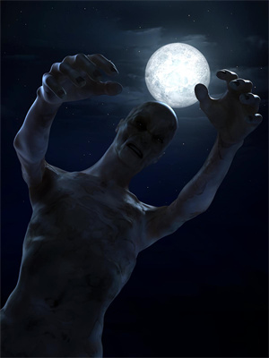 已完结小说《这个夫君路子野，得宠》最新章节