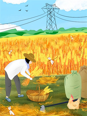 娱乐：重生2007，百亿翻盘路（陆洪）在线免费阅读