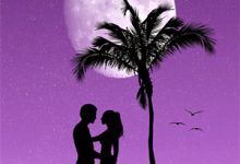 群芳争艳：我的红颜祸水小说最新更新在哪里？免费在线看-小智文学