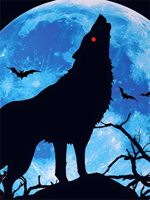 墨荀凤念安小说黄泉情难渡在线阅读章节